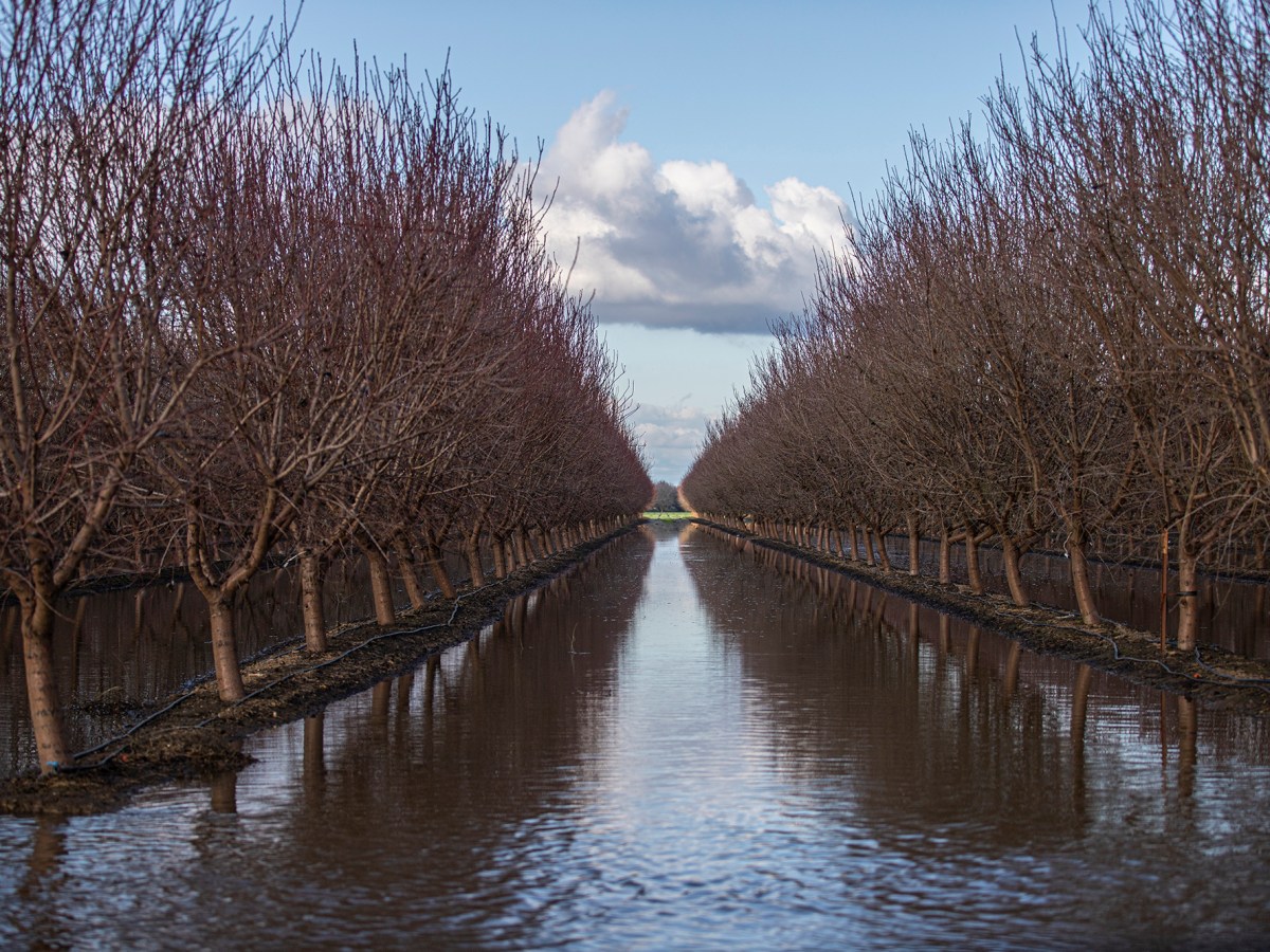 Floods, fires, droughts show California needs bigger safety net for farmworkers, advocates say