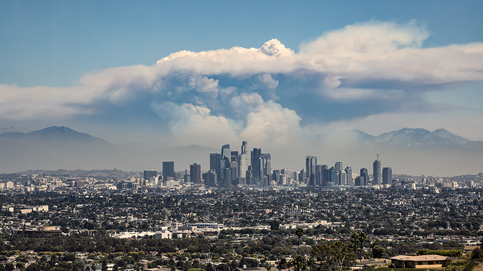 A giant pyrocumulus cloud formed above the Bridge Fire, burning in the San Gabriel mountains behind downtown Los Angeles. Sept. 10, 2024. Photo by Ted Soqui, SIPA USA via Reuters