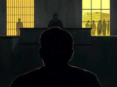 Illustration of the back of a person sitting in front of a judge; to the left of the judge, there is a vignette of a person standing in a cell; to the right, there is a line of people wrapping around a medical building